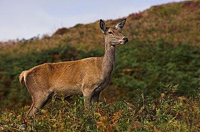 Steam新品节今日开启！海洋建造沙盒游戏《沉浮》强势亮相